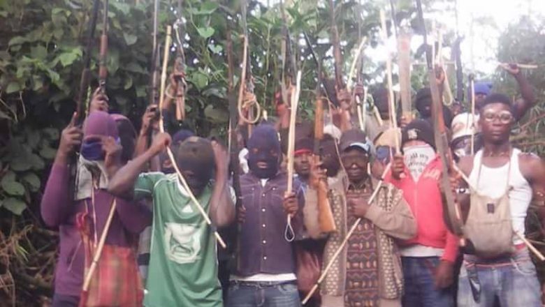 Ambazonia Fighters Laid Down Weapons