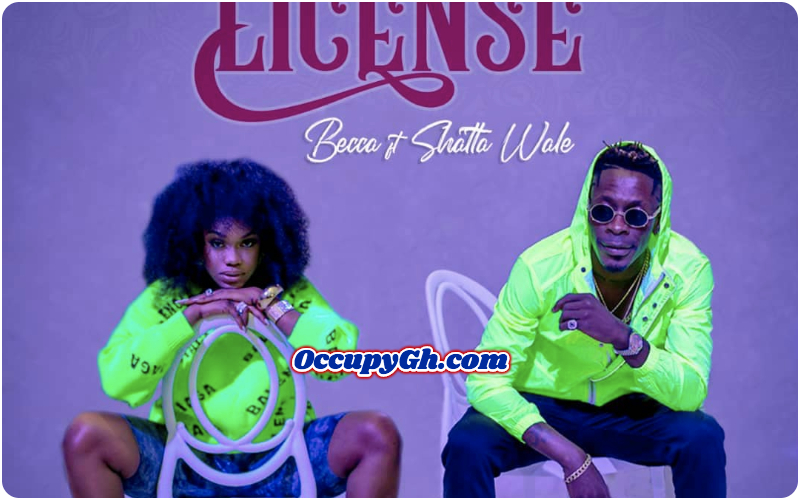 Becca ft Shatta Wale - Driving License download