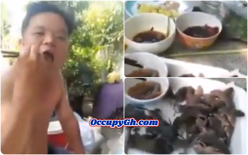 hinese Men Eating Live Rats