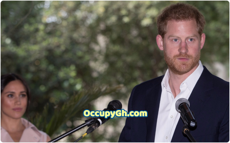 Prince Harry Giving Up Royal Titles