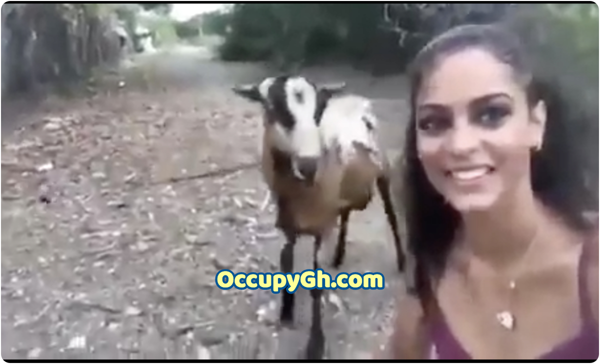 slay queen take selfie with goat