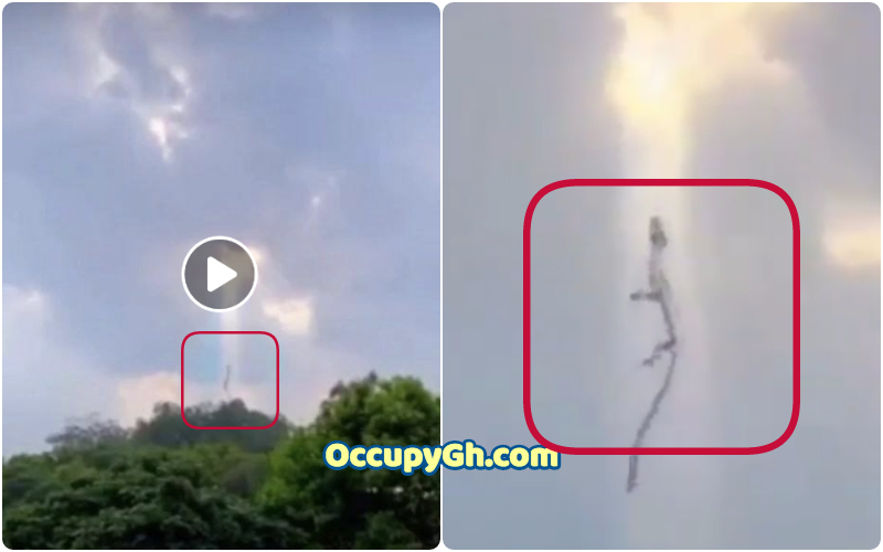 Strange Animal Spotted Ascending To Heaven In China