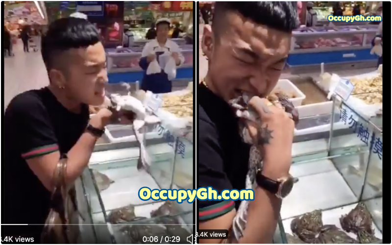 chinese man eating live frog
