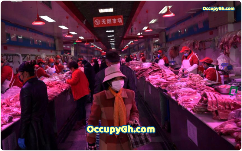 Shenzhen Bans Eating Cats & Dog Meat