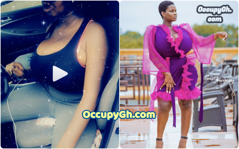 Pamela Odame Flaunts Her 'Goodies' In Latest Video