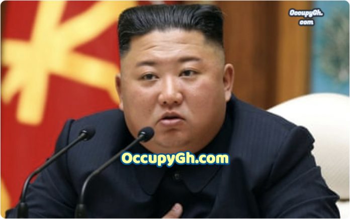 Kim Jong Un in coma