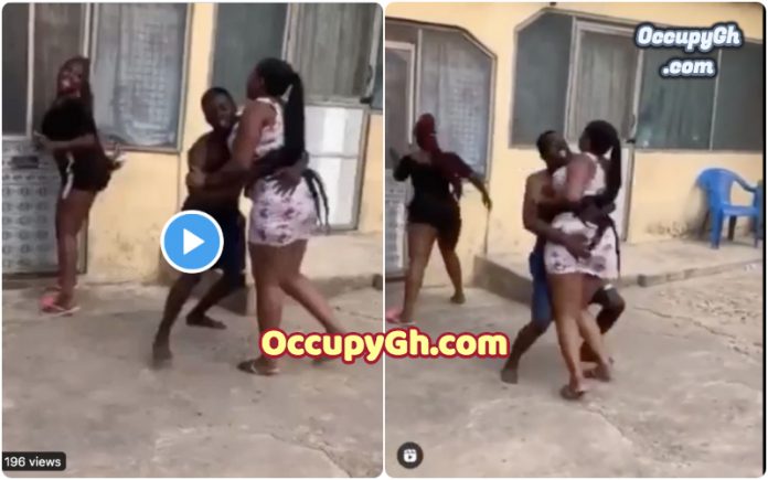 warris video Trending Video Of The Day