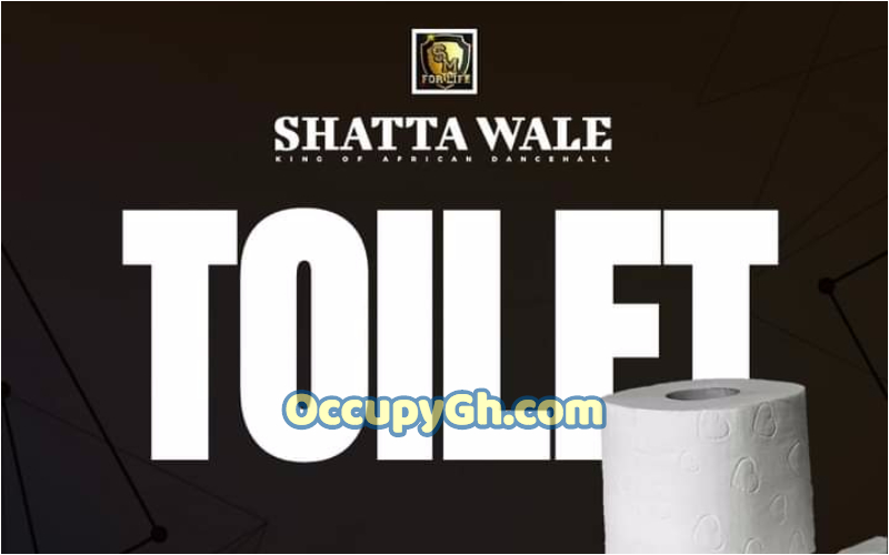 shatta wale toilet
