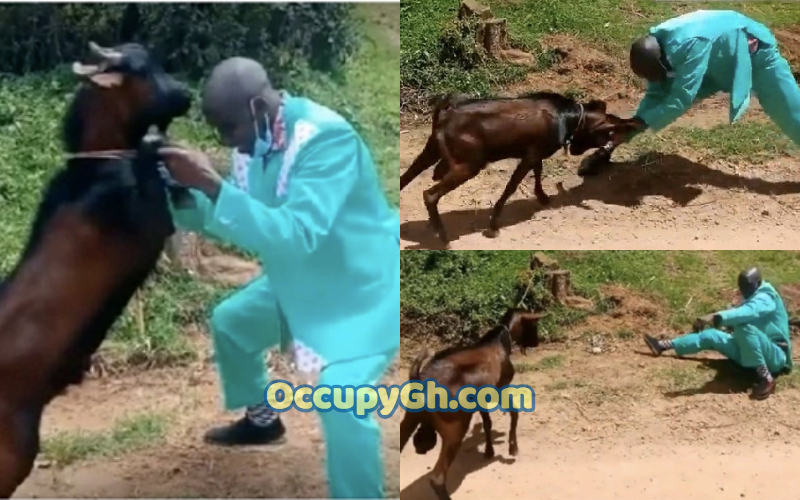 Embarambamba gospel musician dancing with goat