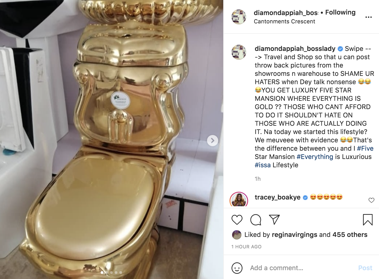 diamond appiah gold toilet