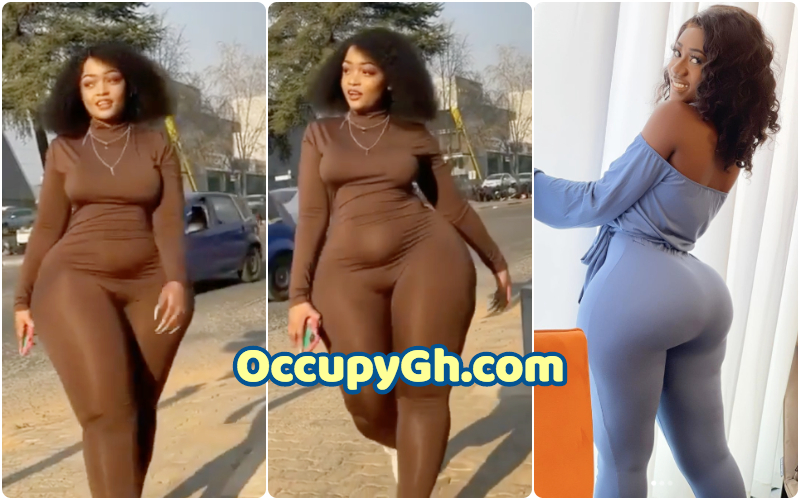 South African Lady Big Curves