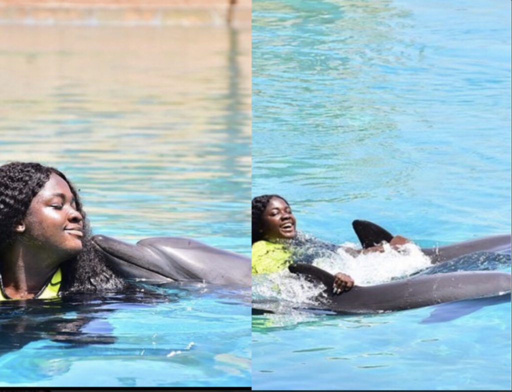 Tracey Boakye Swimming Dolphin