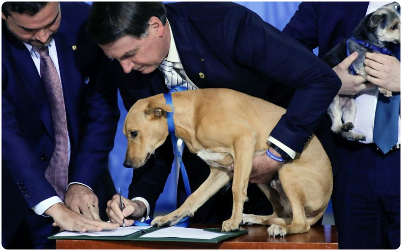 Brazilian President Dog Sign Law