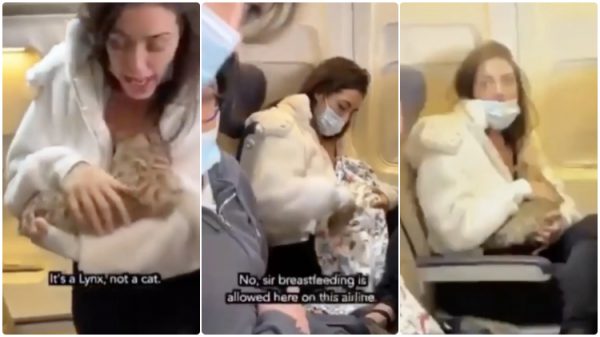 woman breastfeeding cat in plane