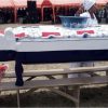 NPP Supporter Buried With An Elephant Casket (PHOTOS)