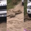 python attacks range rover