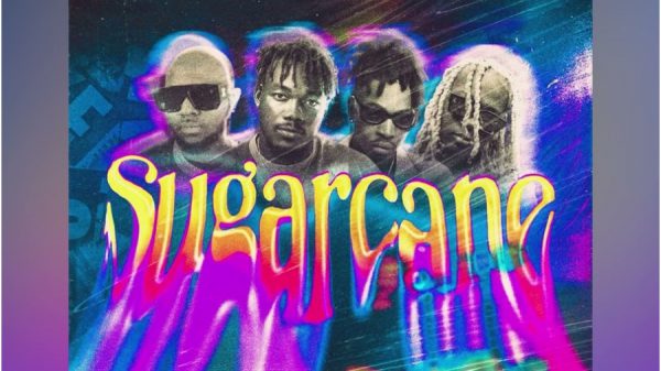 Sugarcane Remix Lyrics