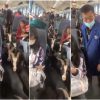 man enter train goats