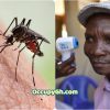 man farts kill mosquitoes