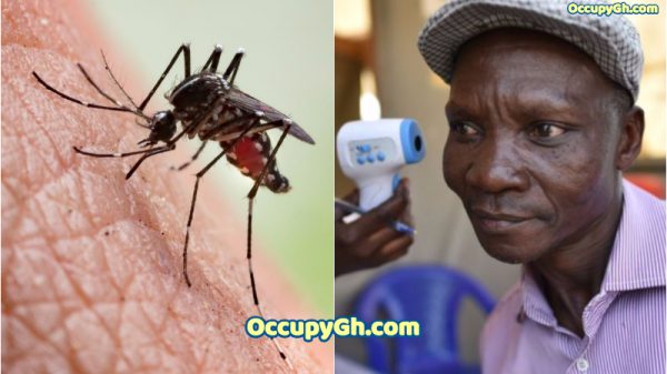 man farts kill mosquitoes