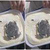 frog in ice cream