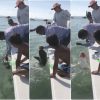man loses finger shark