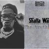 shatta wale - higher