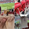 qatar gift in stadium