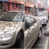 Raining Worms In China Beijing