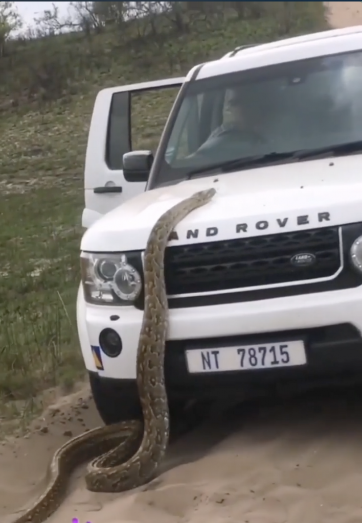 Python Attacks Range Rover