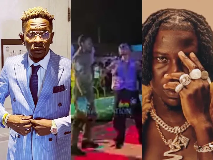 Stonebwoy insults shatta wale mother