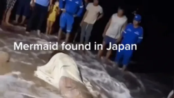 Mermaid Discovered in Japan