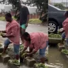 woman washing vegetables gutter