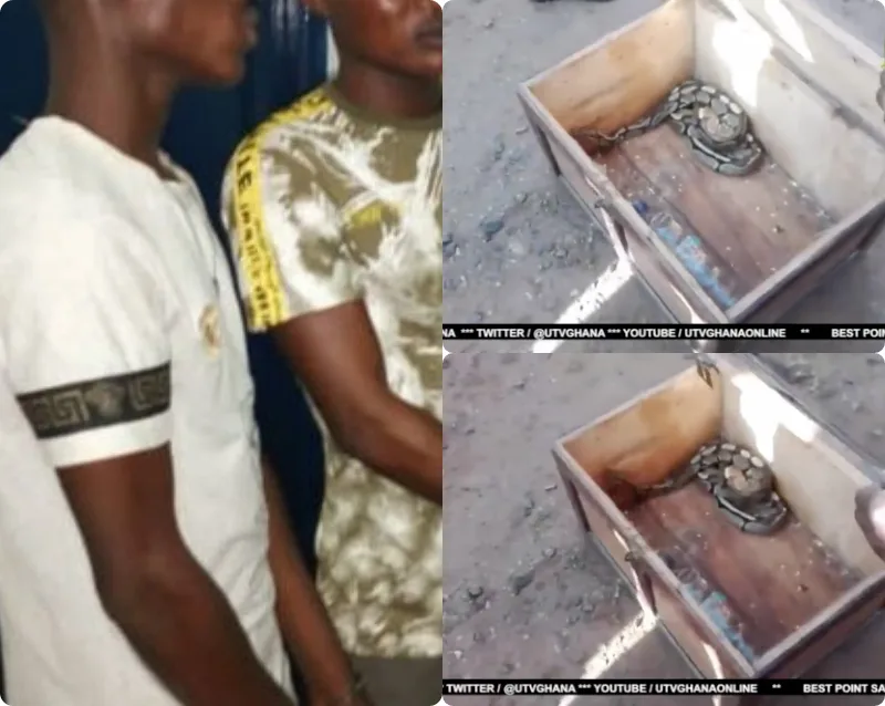 sakawa boys return money vomiting snake