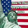 How to check us dv lottery results