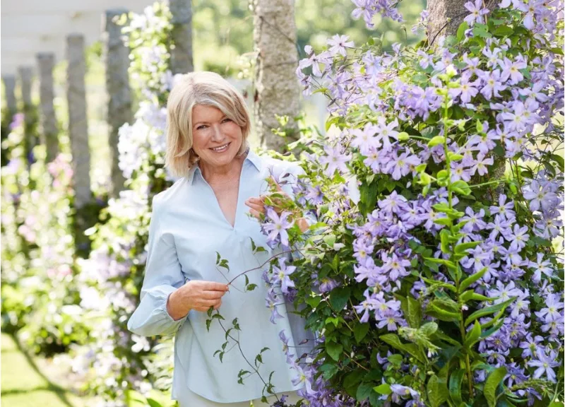 Martha Stewart Bio, Age, Net Worth, Husband, Children, Parents Siblings