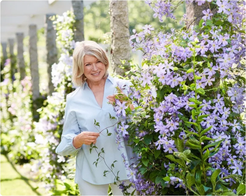 Martha Stewart biography