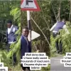 ghanaian driver cut bush covering road sign