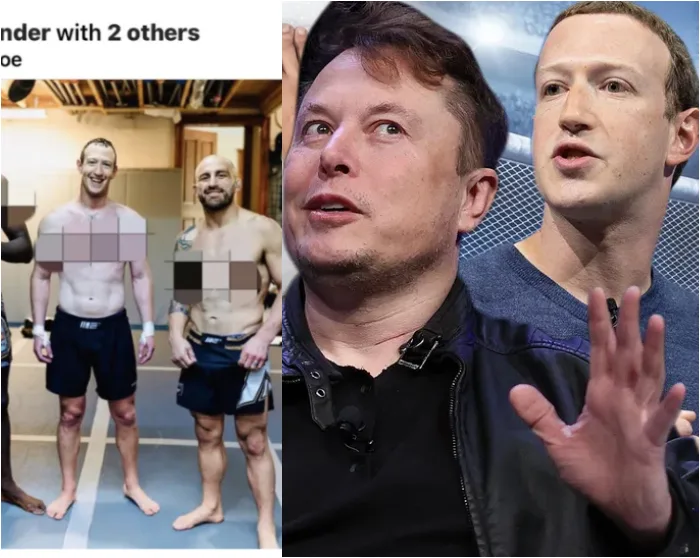 Mark Zuckerberg vs Elon Musk fight