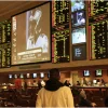what to know Before Starting Betting