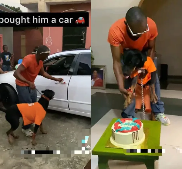 man buys dog car birthday gift
