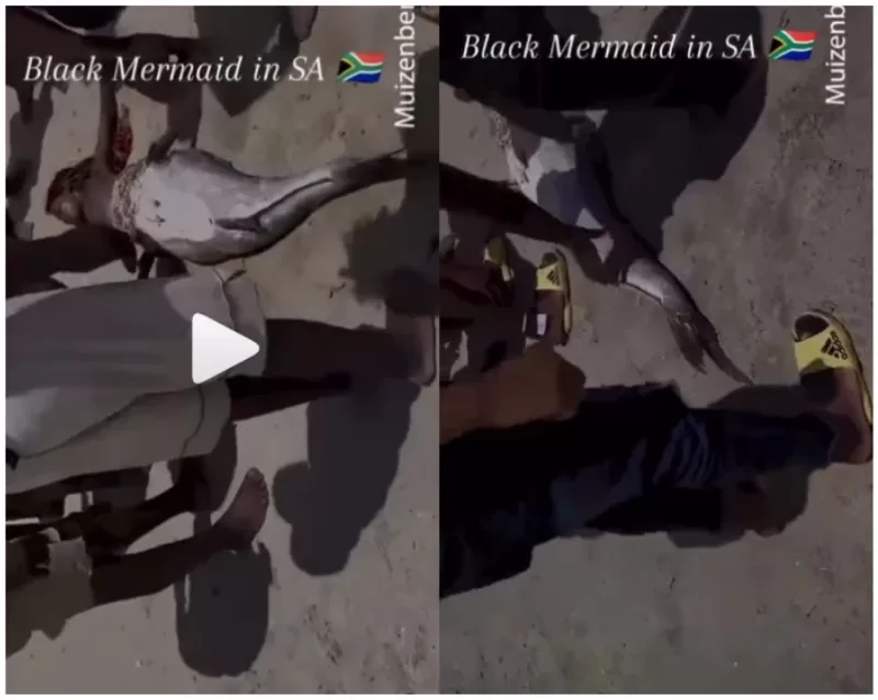black mermaid in south africa