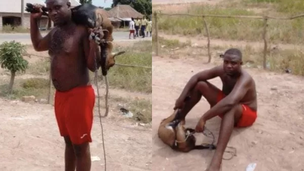 man arrested stealing goat