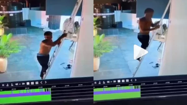 Thief Caught On CCTV Stealing with ladder