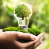 Sustainable Living: Lifestyle Articles Going Green