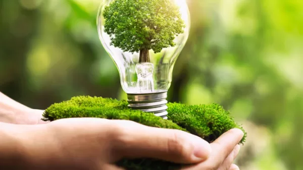 Sustainable Living: Lifestyle Articles Going Green