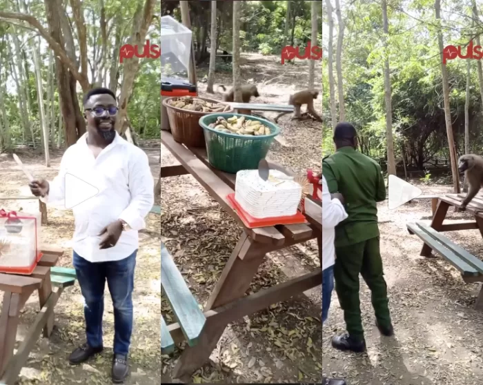 man celebrates birthday with monkeys