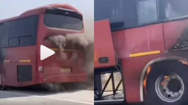 VIP bus burst into flames