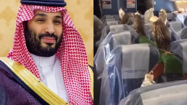 Crown Prince of Saudi Arabia birds