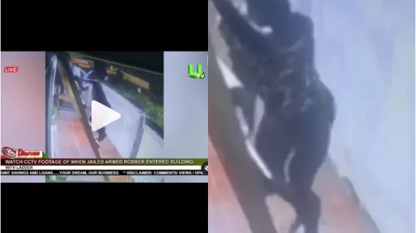 Thief Caught On CCTV